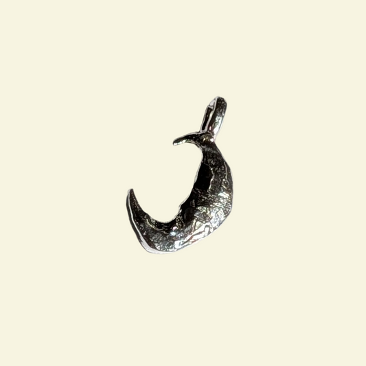 Moon Charm Silver